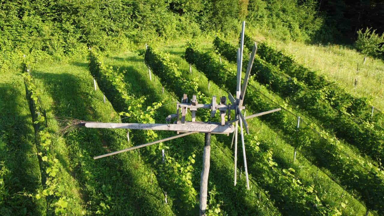 Hopfenhof Gospodarstwo agroturystyczne Leutschach