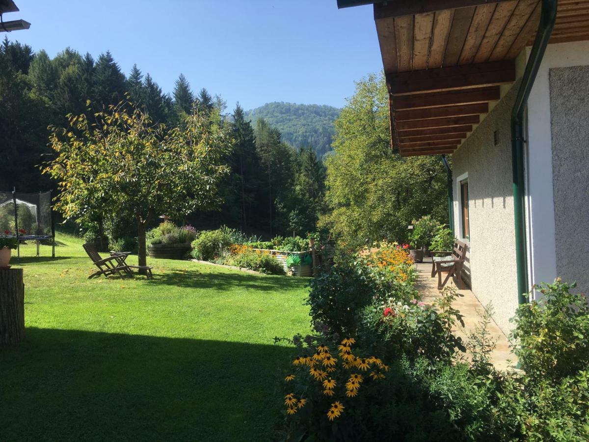 Hopfenhof Farm stay *